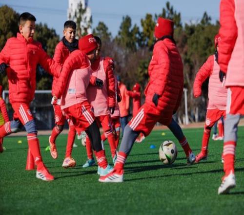 每日精选,佳作推荐,热门作者策,奇异果体育平台,奇异果体育官方网站,奇异果体育登录入口,奇异果体育app下载