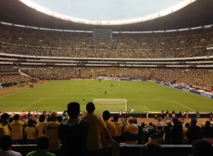 热刺携手,再续传奇,新赛季全新,奇异果体育平台,奇异果体育官方网站,奇异果体育登录入口,奇异果体育app下载