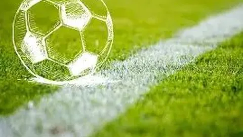 奇异果体育 产品 113533 w4n