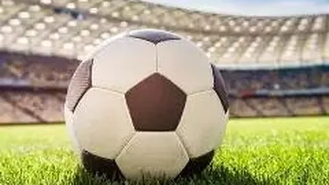 奇异果体育 资讯 113511 bbt